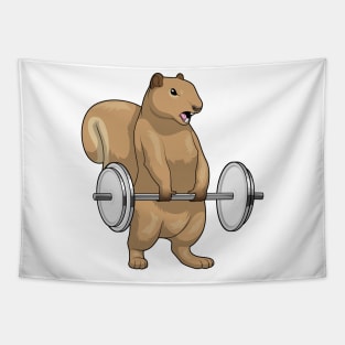 Squirrel Bodybuilding Dumbbells Tapestry