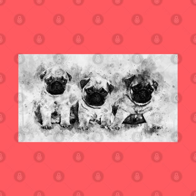 Pug Puppies. Dog Watercolor Portrait black and white 01 by SPJE Illustration Photography