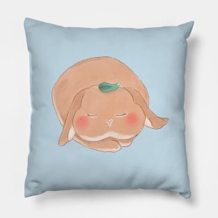 Sleeping Mochi Bailey The Bunny | Bunniesmee Pillow