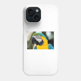 Preserve 3 Phone Case