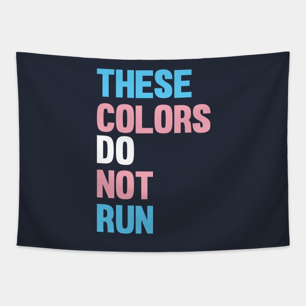 THESE COLORS DO NOT RUN - Trans Rights Tapestry by LaLunaWinters