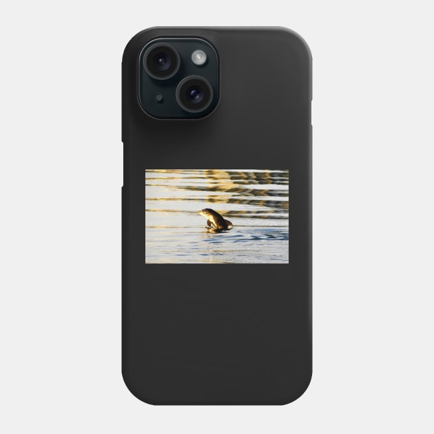 Baby Dolphins first breach Phone Case by dltphoto