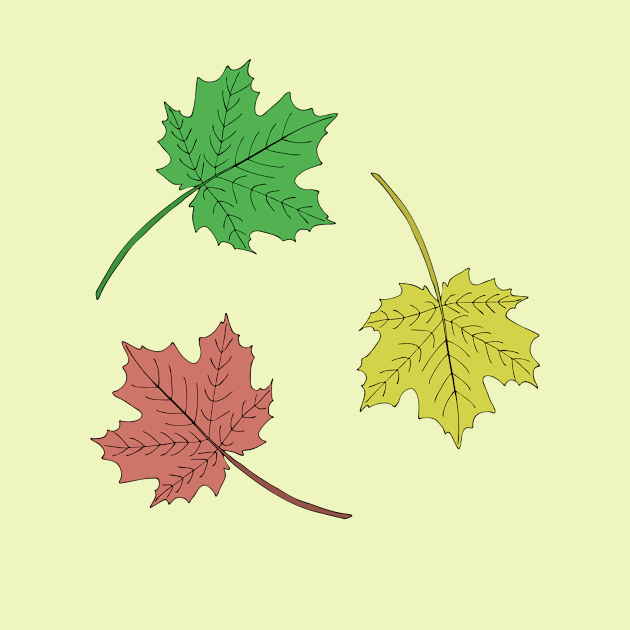 Colored maple leaves. by Design images