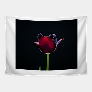 Garden Tulip 10 Tapestry