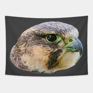 Falcon Portrait Tapestry