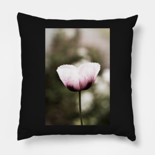 Pink Poppy Pillow