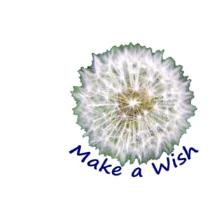 Make a Wish Dandelion Puff T-Shirt