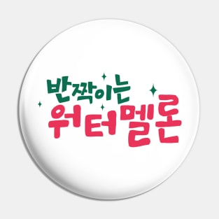 Twinkling Watermelon Korean Drama Pin