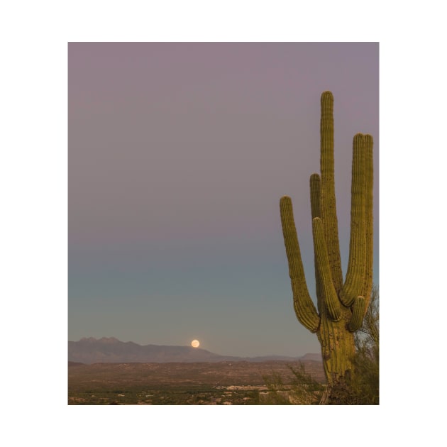 Four Peaks Moonrise by MCHerdering