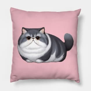 Fat Fluffy Cat Pillow