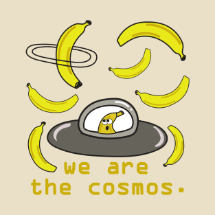 Cosmos Fruit (Josh's Theme) T-Shirt