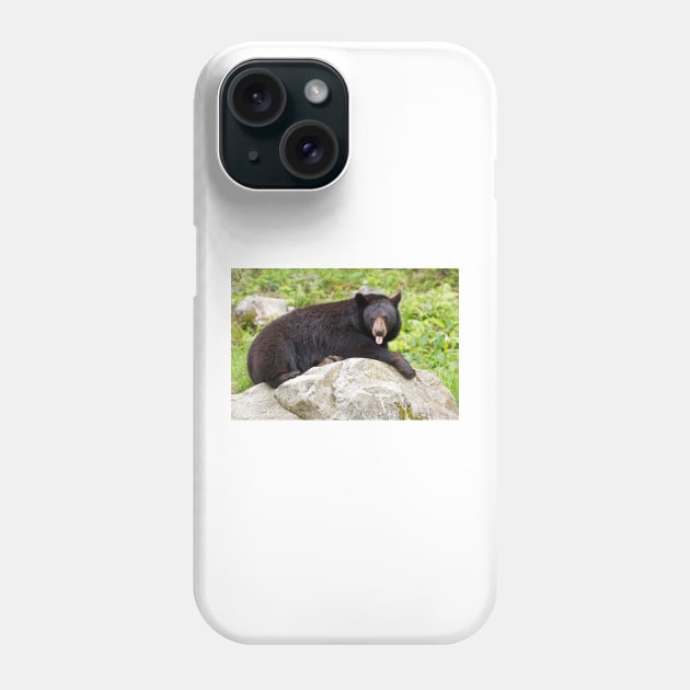 Blowing Raspberries - Black Bear Phone Case by Jim Cumming