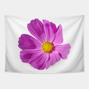 Pink Cosmos Flower Photo Tapestry