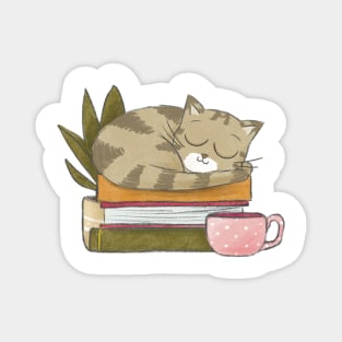 Cat and books Magnet