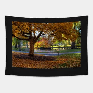 Boston Public Garden Yellow Autumn Tree Boston MA Tapestry