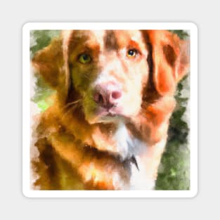 Nova Scotia Duck Tolling Retriever Watercolor - Dog Lover Gifts Magnet