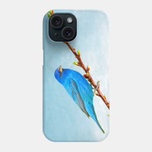 Indigo Bunting Bird Phone Case