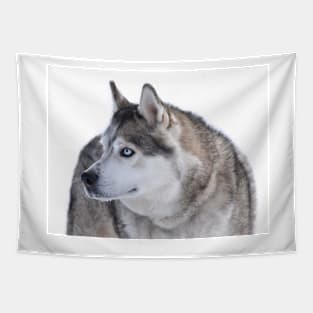 Husky Tapestry