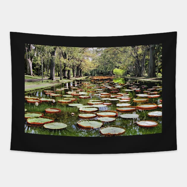 Amazon Water Lilies Tapestry by Carole-Anne