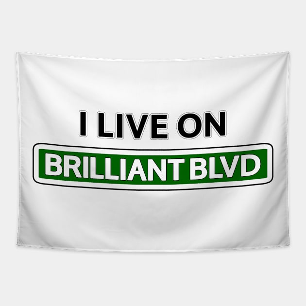 I live on Brilliant Blvd Tapestry by Mookle