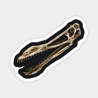 Anhanguera Pterosaur Skull Magnet