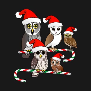 Cartoon Christmas Bird Owls T-Shirt