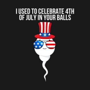 I used to celebrate 4th of july in your balls T-Shirt