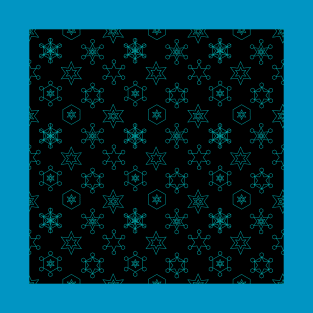 Assorted Snowflakes Teal on Black T-Shirt