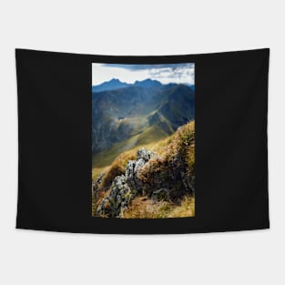 Mountain range with selective focus Tapestry