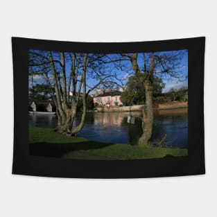 Avon Reflections Tapestry