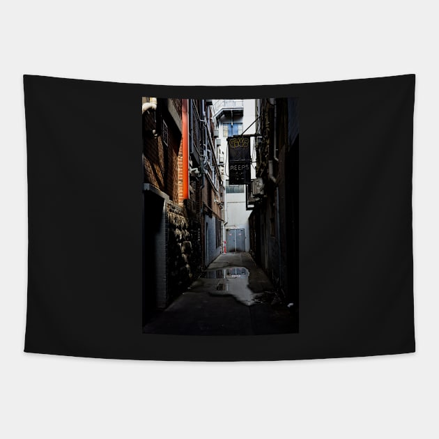 Urban Peeps Tapestry by athexphotographs