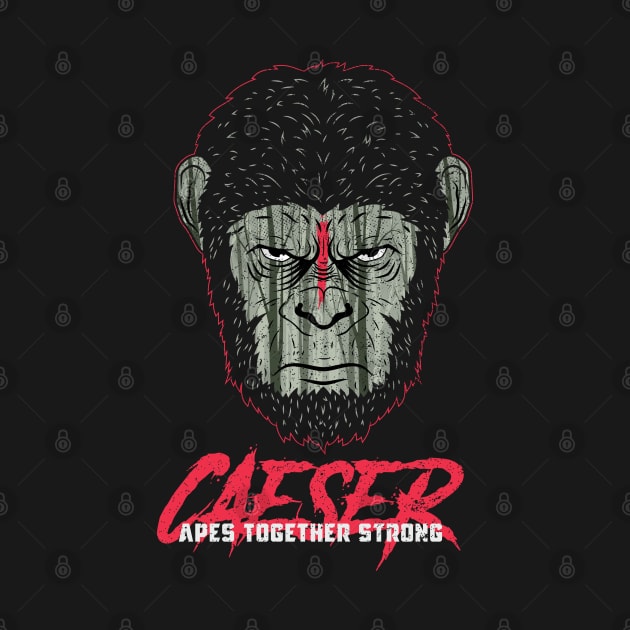 Caeser by redwane