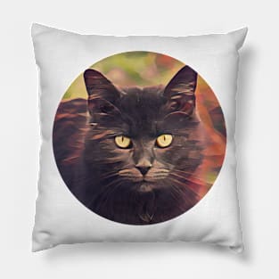 Beloved floppy cat Pillow