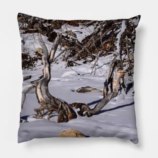 Artistic driftwood Pillow