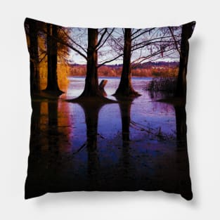 Autumn tree reflection in water landscape photography Pillow