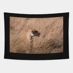 Serengeti Lion #6 Tapestry