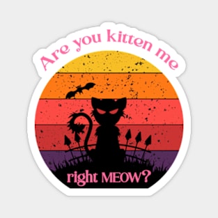 Are you kitten me right meow? Magnet