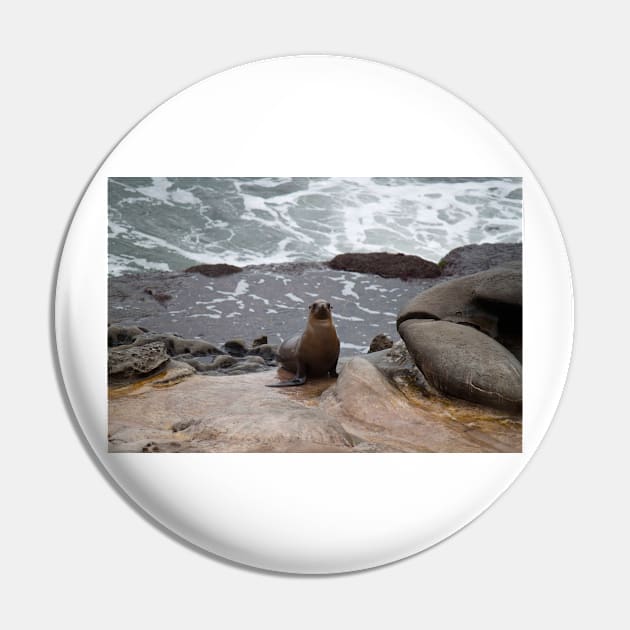 Sea Lion Love Pin by Jacquelie