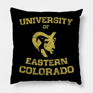 University of Eastern Colorado, The Last of us University Pillow