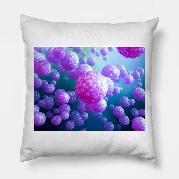 Stem cells, illustration (C029/4986) Pillow by SciencePhoto