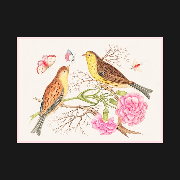 Two Brown and Yellow birds on Branches with Carnations (18th Century) by WAITE-SMITH VINTAGE ART