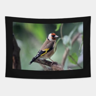 Goldfinch Tapestry