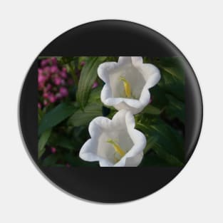 White Lily Of The Valley Photo Print And Others Pin