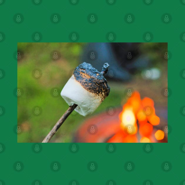 Roasted Marshmallow on a Stick by the Campfire by Shell Photo & Design