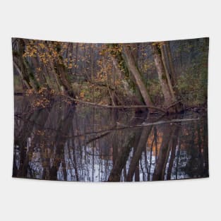 Autumn on the river Tapestry