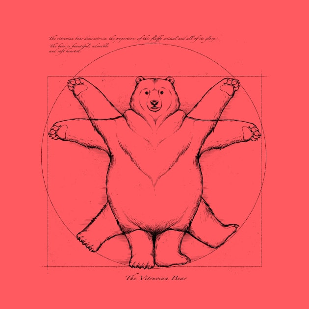 Vitruvian Bear Grey by Tobe_Fonseca