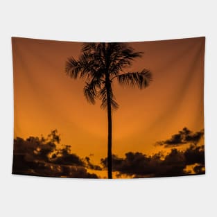 Beautiful Sunset Tapestry