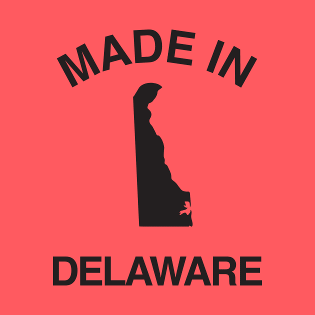 Made in Delaware by elskepress