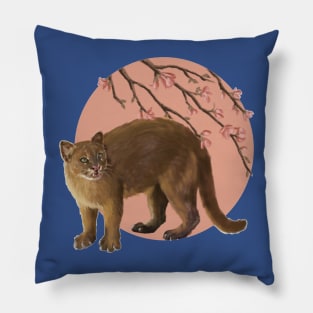 Jaguarundi Pillow