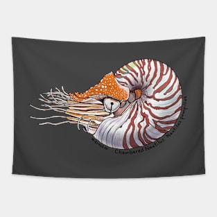 Chambered Nautilus Tapestry